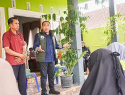 Andi Sulolipu Optimis Menang di Kelurahan Kassilampe