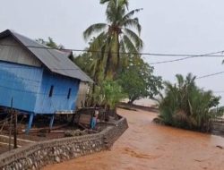 AMPLK Sultra Sebut Aktivitas PT Tambang Bumi Sulawesi di Kecamatan Kabaena Selatan Cemari Sungai dan Laut