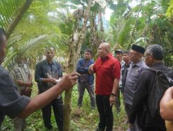 DPRD Kota Kendari Tinjau Lokasi Penutupan Jalan di Kali Mandonga