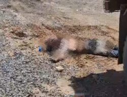 Nyawa Pekerja Kembali Melayang di Kawasan IPIP, Standar K3 Dipertanyakan