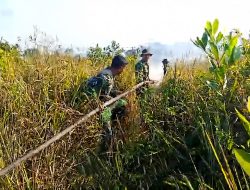 Gerak Cepat TNI-Polri dan Damkar Jinakkan Api di Nanga-Nanga